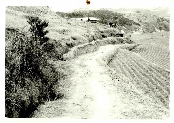 77년도 도수로 사업 (대통령 하사금) 새밭에서 지안골로 가는 도수로 작업된 사진, 시공전