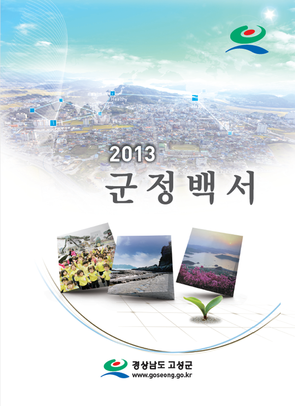 2013 군정백서